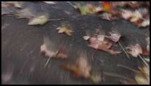 Ballard Sidewalk