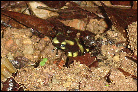 Costa Rica
