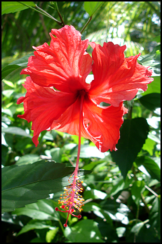 Costa Rica