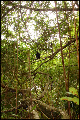 Costa Rica