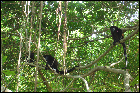 Costa Rica