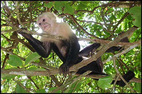 Costa Rica
