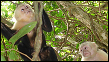Costa Rica