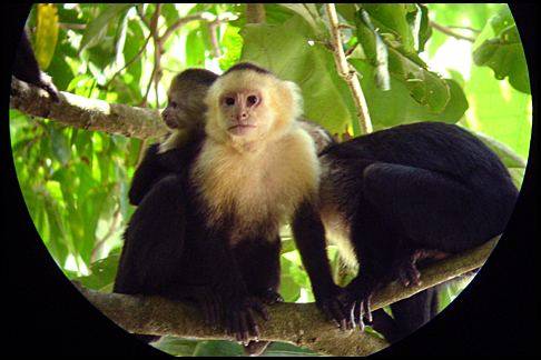 Costa Rica