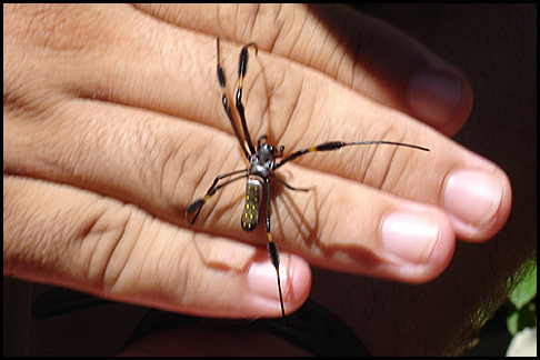 Costa Rica