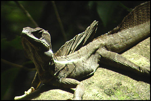 Costa Rica
