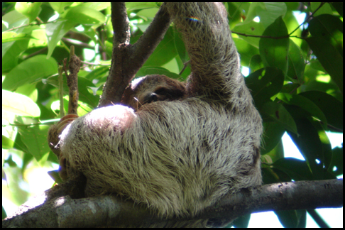 Costa Rica
