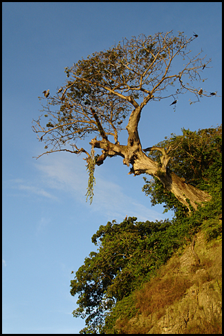 Costa Rica