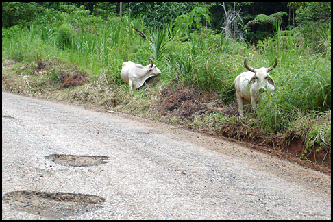 Costa Rica