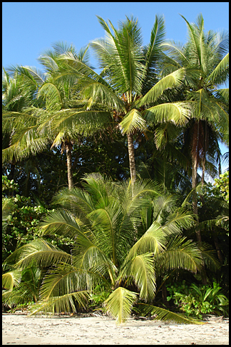 Costa Rica
