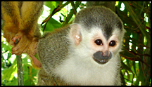 Costa Rica
