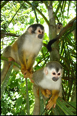 Costa Rica