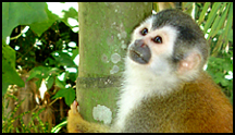 Costa Rica