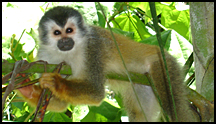 Costa Rica