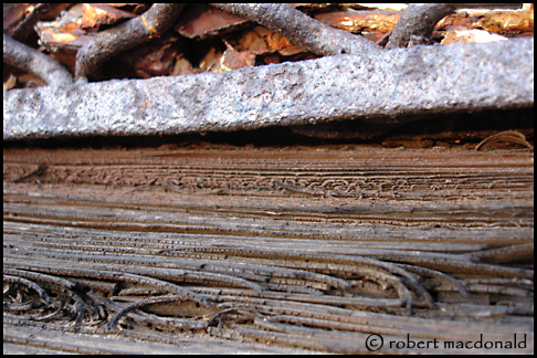 Iron & Wood
