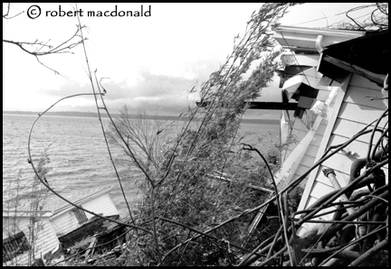 Magnolia Mudslide 01
