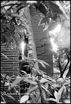 Magnolia Mudslide 02