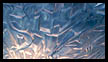 Ice Columns