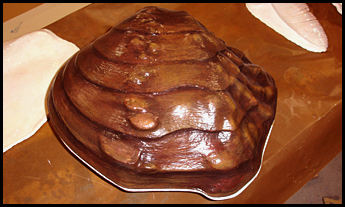 Mussel