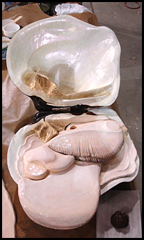 Mussel