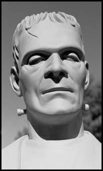 Frankenstein's Monster
