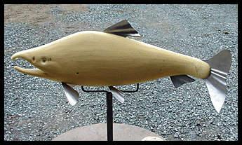 Salmon