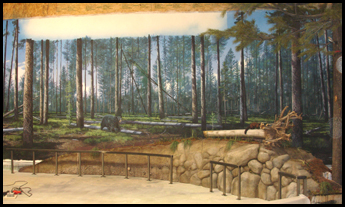 Yellowstone