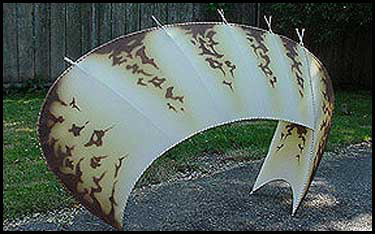opened belly