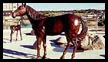 Bronze Horses