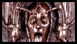 Damnation
