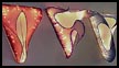 Sconces