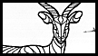 Antelope Concept