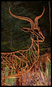 Antelope at show