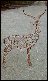 Antelope