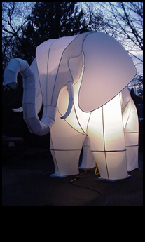 Elephant at Dusk