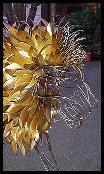 Lion's head